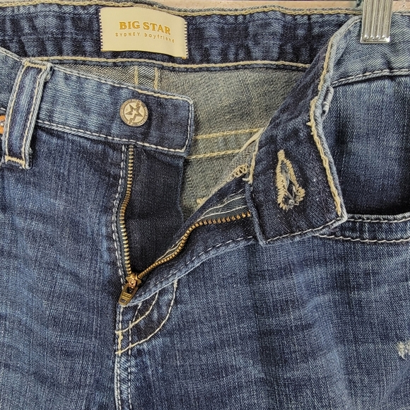 Big Star Sydney Boyfriend Coast Cowgirl Mid Rise Denim Blue Jeans Sz 29 - Picture 5 of 16